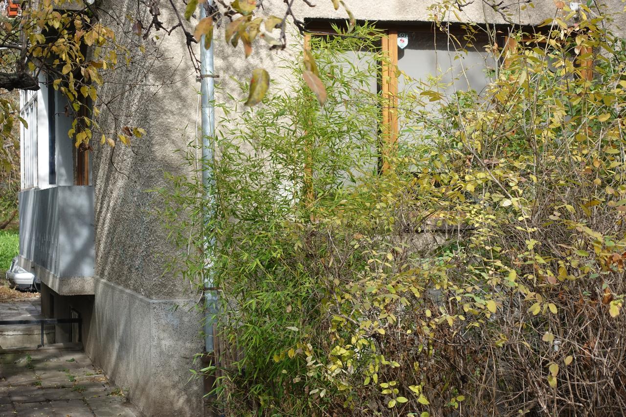 Wendy House Apartment Sofia Exterior photo